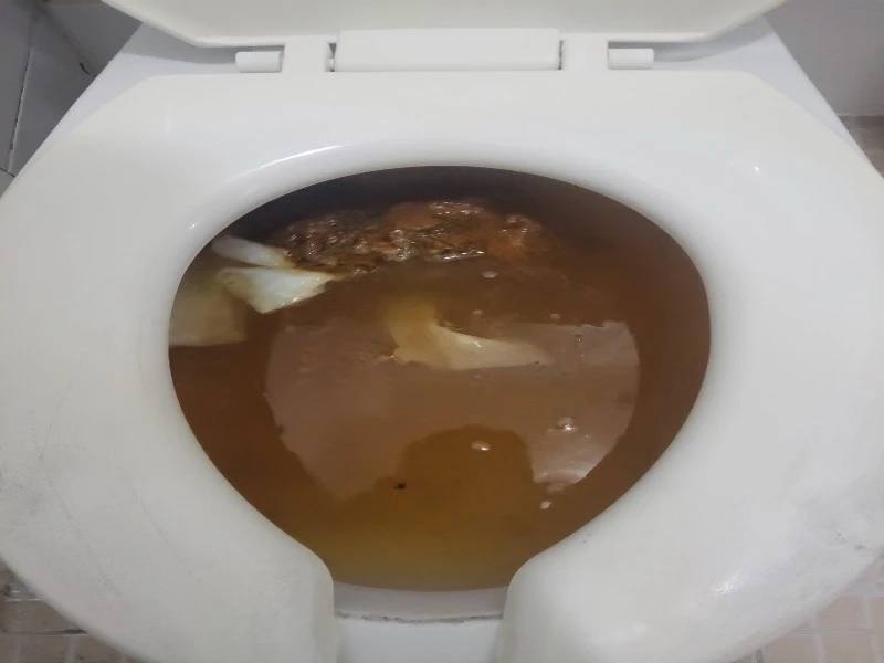 다산 변기막힘 작업사례 30