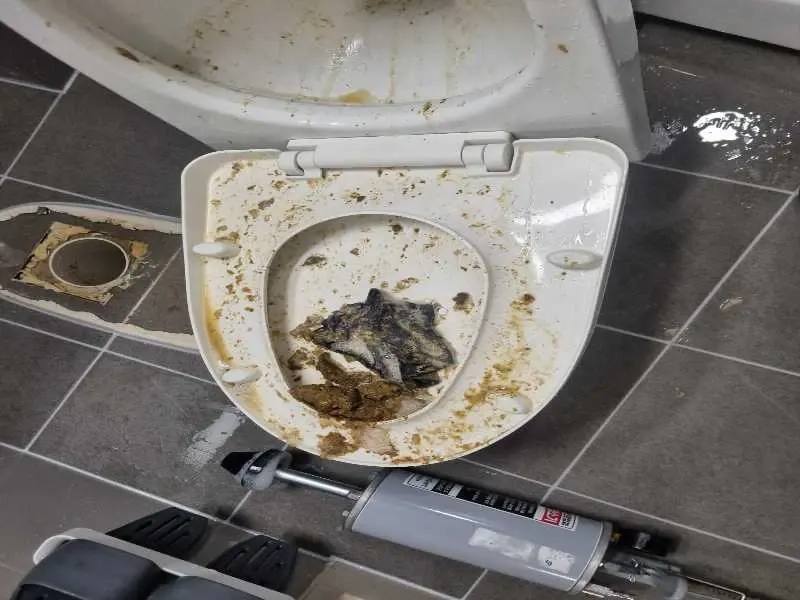 다산 변기막힘 작업사례 8