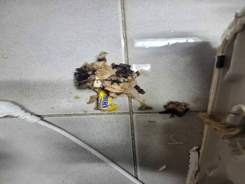 다산 변기 이물질 제거 사례 6